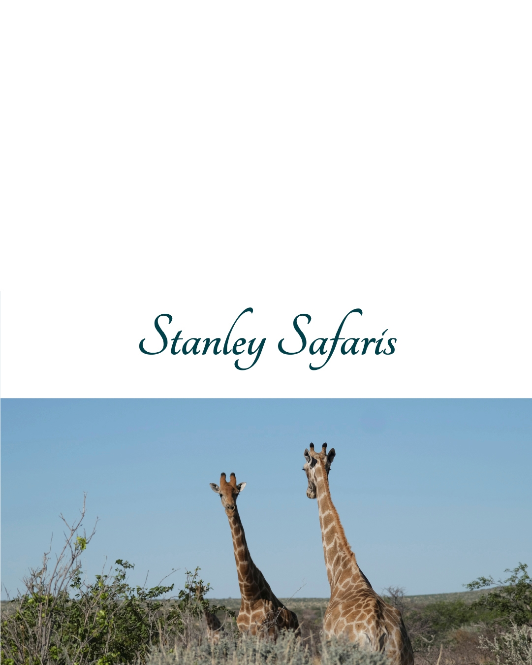 Stanley Safaris - 362% Increase in Monthly Website Leads